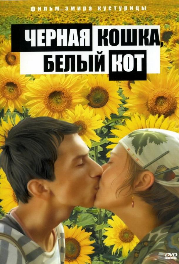 Фильм Черная кошка, белый кот 1998 смотреть онлайн бесплатно
